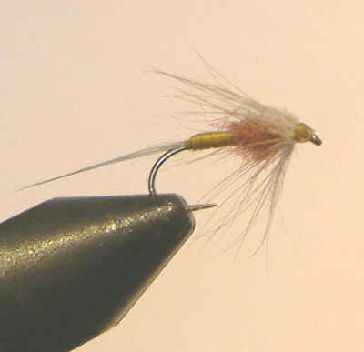 Tups Indispensible, wet fly pattern
