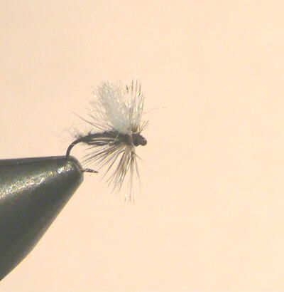 Black Gnat Midge - Ruff Waters Fly Fishing