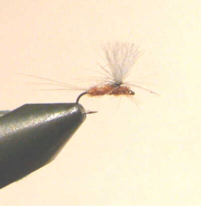 photo of ginger paradun trout pattern