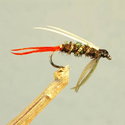 Red Prince Nymph