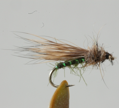 Yeo Caddis