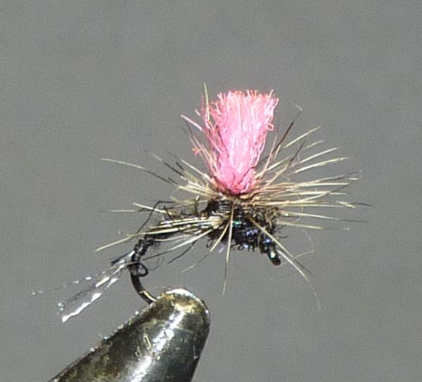 black minx parachute fly pattern