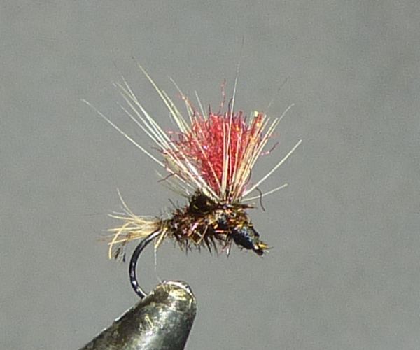 the diva fly pattern