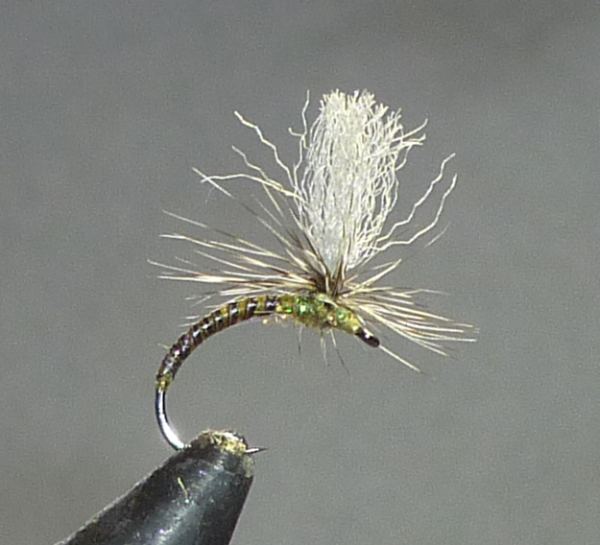 quill para fly pattern