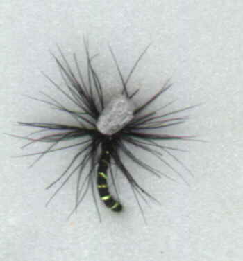 Black Gnat pattern: dry fly swap 