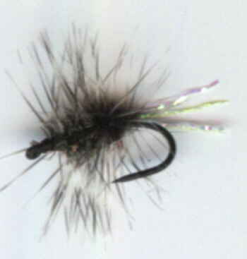 dry fly swap pattern - sparkle griffith's gnat