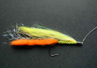 image of pike fly