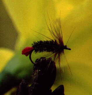 Image of dry fly: red tag