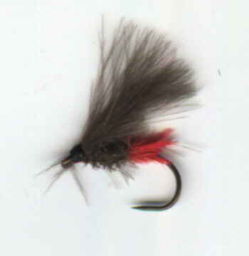  CFFC dry fly dressing pattern: Red Tag CDC